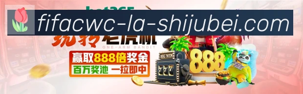 体育数据展示